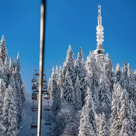 The Golden Nest - 3 Bedroom Family Mountain * Pamporovo
