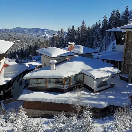 The Golden Nest - Luxury Appartement