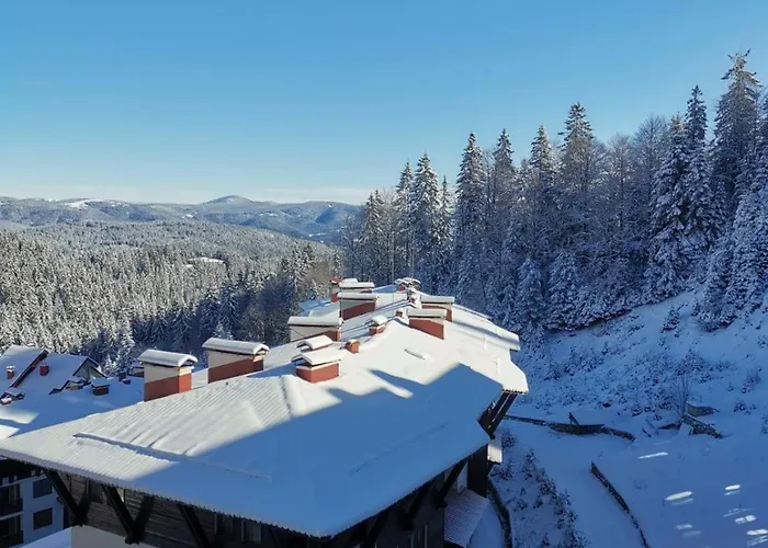 The Golden Nest - 3 Bedroom Family Mountain Apartment *