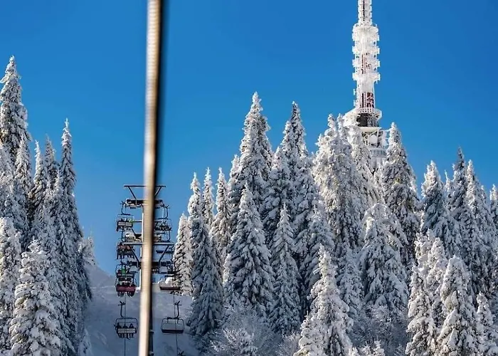 The Golden Nest - 3 Bedroom Family Mountain * Pamporovo